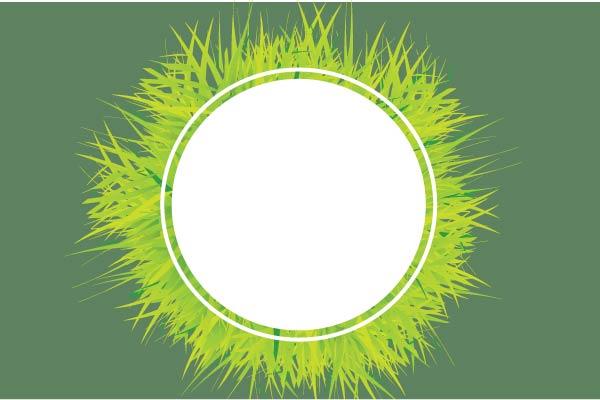 Grass Circle
