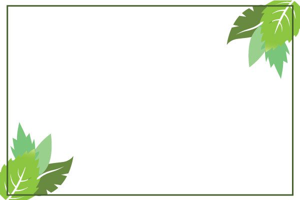 Garden Leaf Boarder