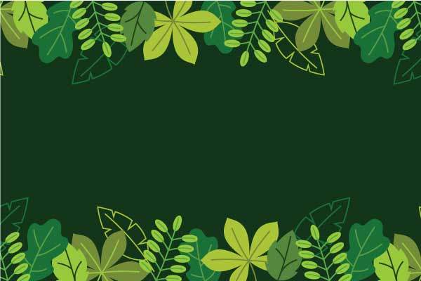 Garden Leaf
