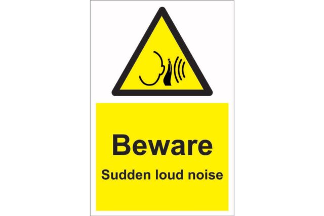 Sudden Noise