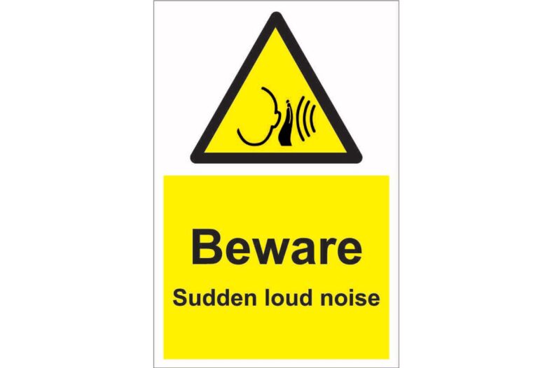 Sudden Noise